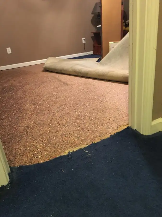 Carpet pad removal revealing water damage during Drying & Dehumidification in Webb City