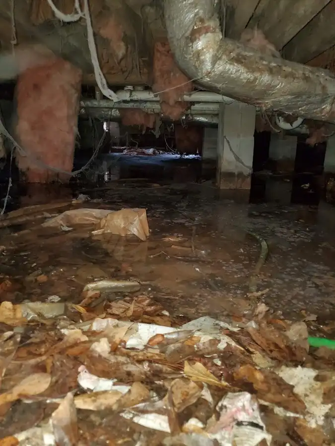 Crawl space flood assessment for Commercial Water Damage Restoration in Webb City