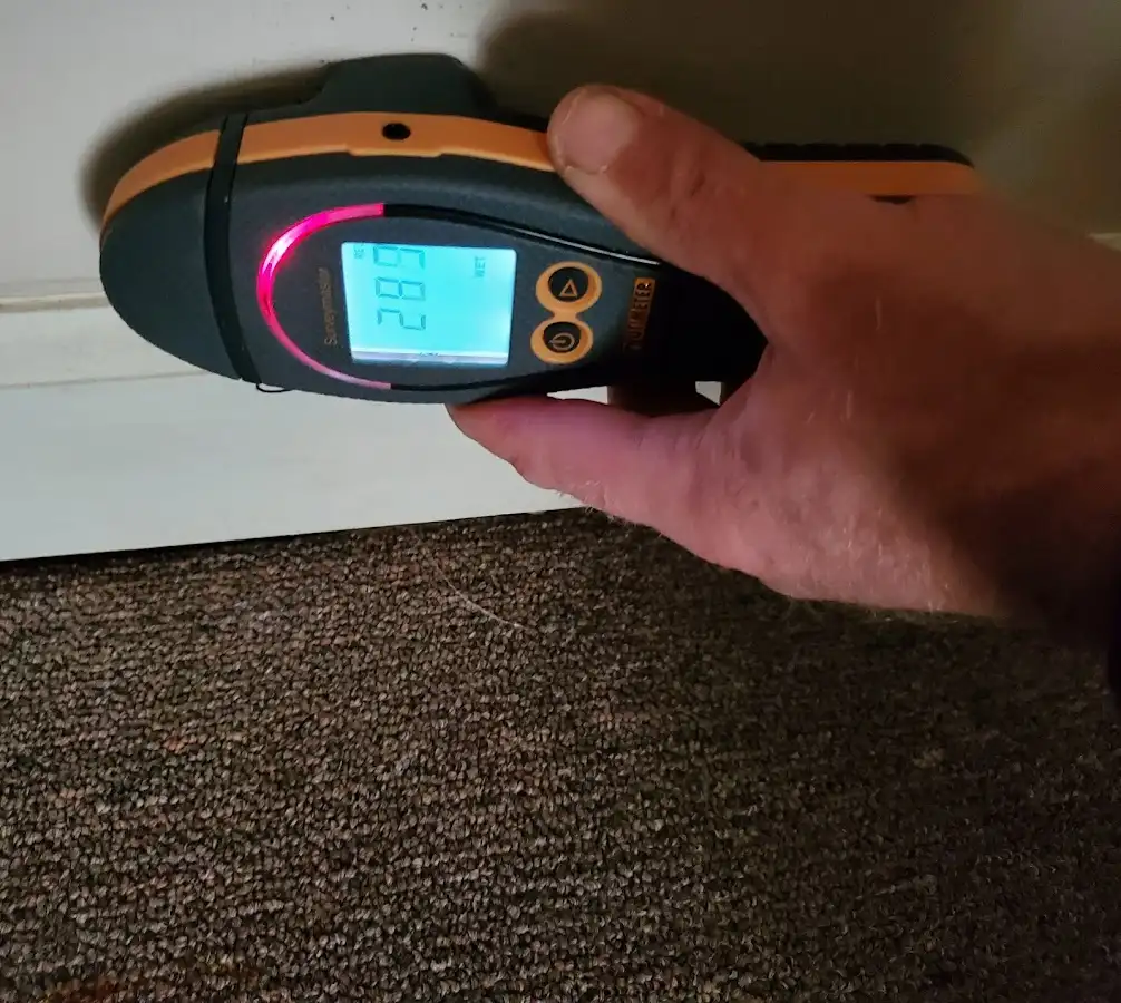 Moisture detection at baseboard during Sewage Cleanup & Sanitation in Webb City